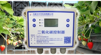 中國(guó)北方CO?新技術(shù)，將促進(jìn)農(nóng)作物光合作用和光合產(chǎn)物的生成