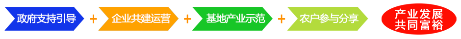 準(zhǔn)旗網(wǎng)站合作模式940.png 準(zhǔn)旗網(wǎng)站合作模式940.png
