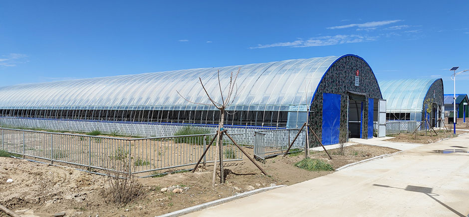 準(zhǔn)旗羊場網(wǎng)站2圖940.jpg 準(zhǔn)旗羊場網(wǎng)站2圖940.jpg