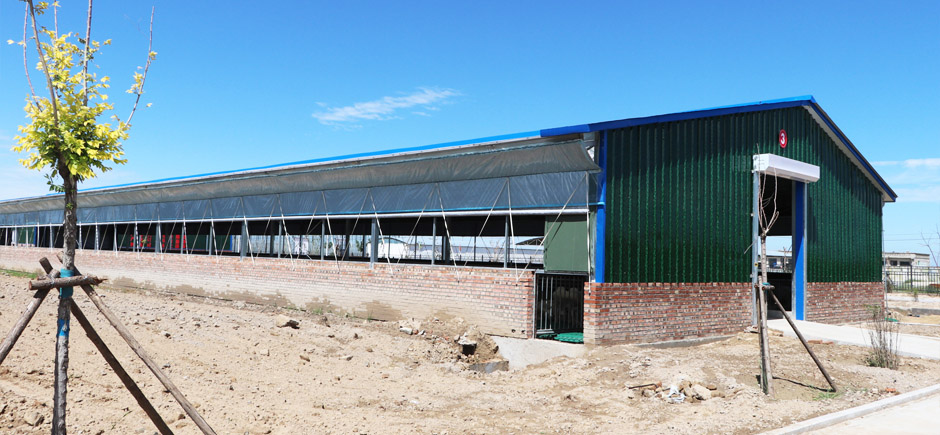 準(zhǔn)旗羊場網(wǎng)站3圖940.jpg 準(zhǔn)旗羊場網(wǎng)站3圖940.jpg