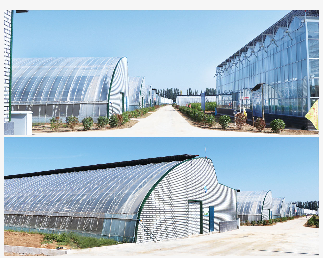 準(zhǔn)格爾旗現(xiàn)代智慧設(shè)施農(nóng)業(yè)產(chǎn)業(yè)園_07.jpg 準(zhǔn)格爾旗現(xiàn)代智慧設(shè)施農(nóng)業(yè)產(chǎn)業(yè)園_07.jpg