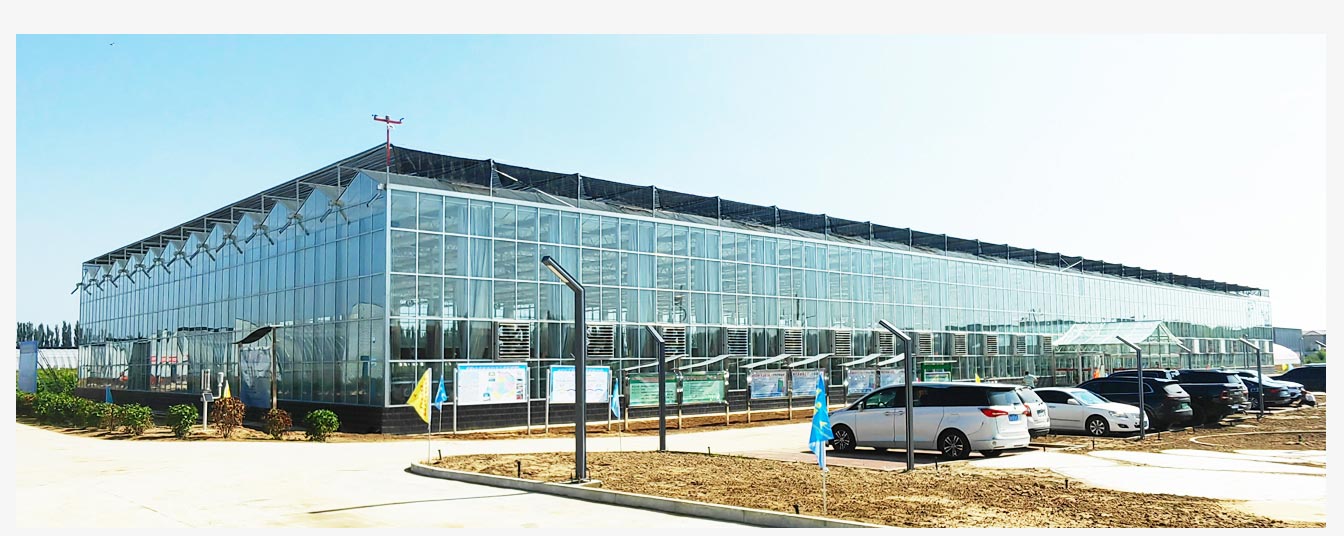 準(zhǔn)格爾旗現(xiàn)代智慧設(shè)施農(nóng)業(yè)產(chǎn)業(yè)園_07.jpg 準(zhǔn)格爾旗現(xiàn)代智慧設(shè)施農(nóng)業(yè)產(chǎn)業(yè)園_07.jpg