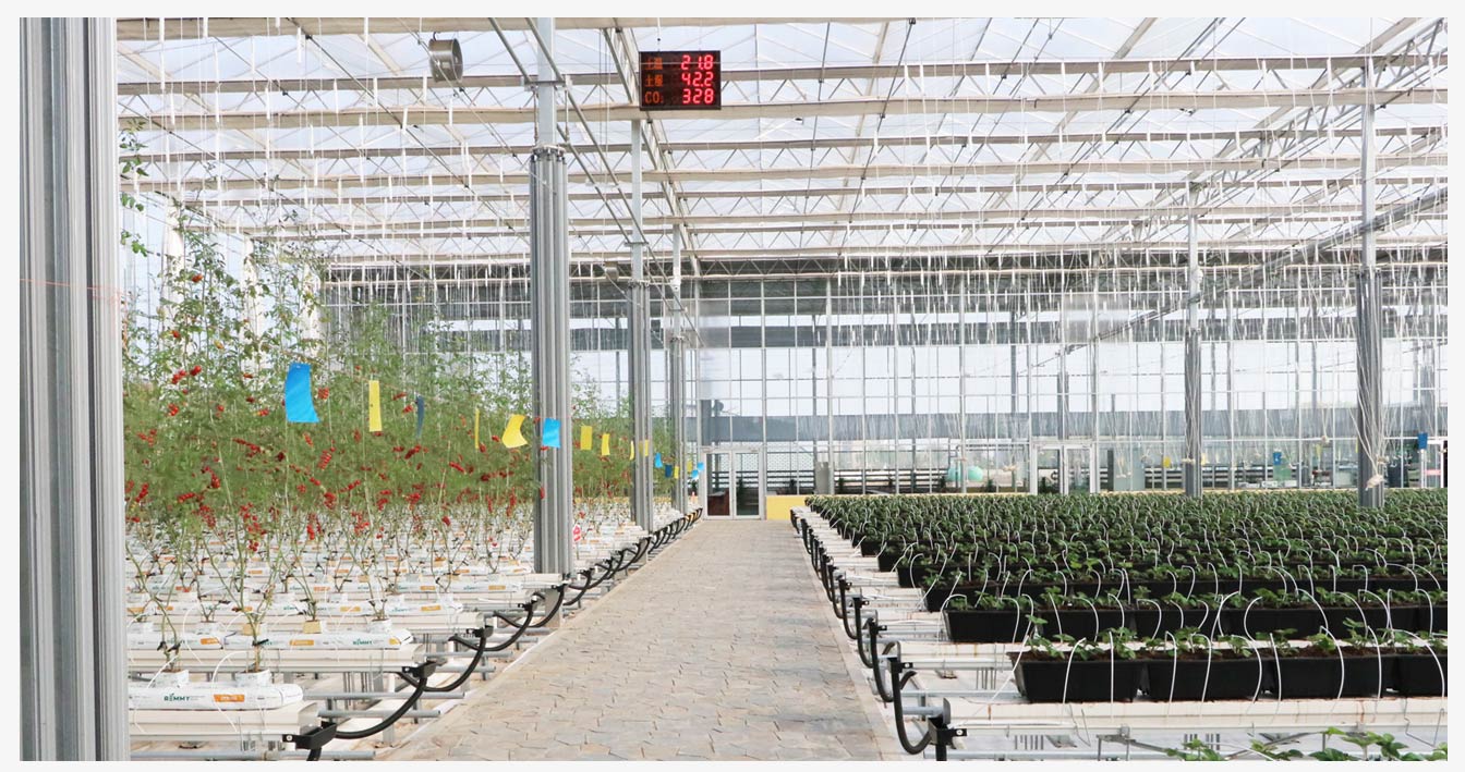 準(zhǔn)格爾旗現(xiàn)代智慧設(shè)施農(nóng)業(yè)產(chǎn)業(yè)園_16.jpg 準(zhǔn)格爾旗現(xiàn)代智慧設(shè)施農(nóng)業(yè)產(chǎn)業(yè)園_16.jpg