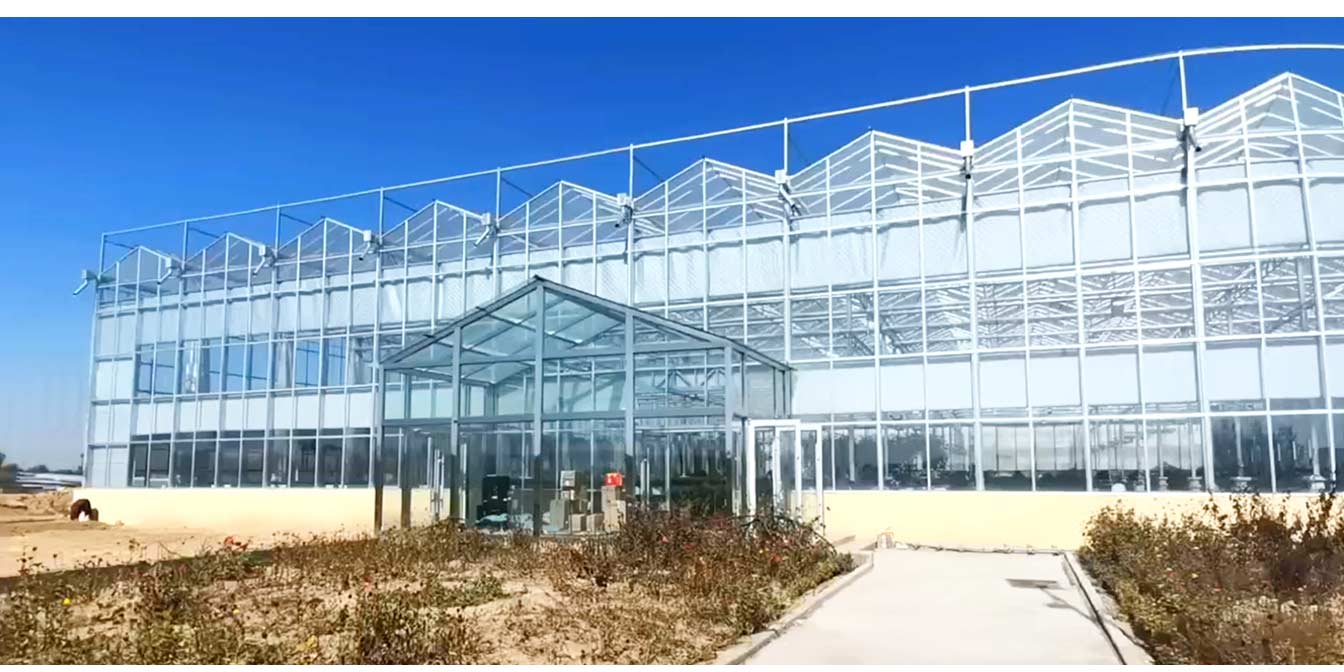 大路鎮(zhèn)苗家灘社區(qū)項(xiàng)目-智能溫室、日光溫室建設(shè)項(xiàng)目_13.jpg