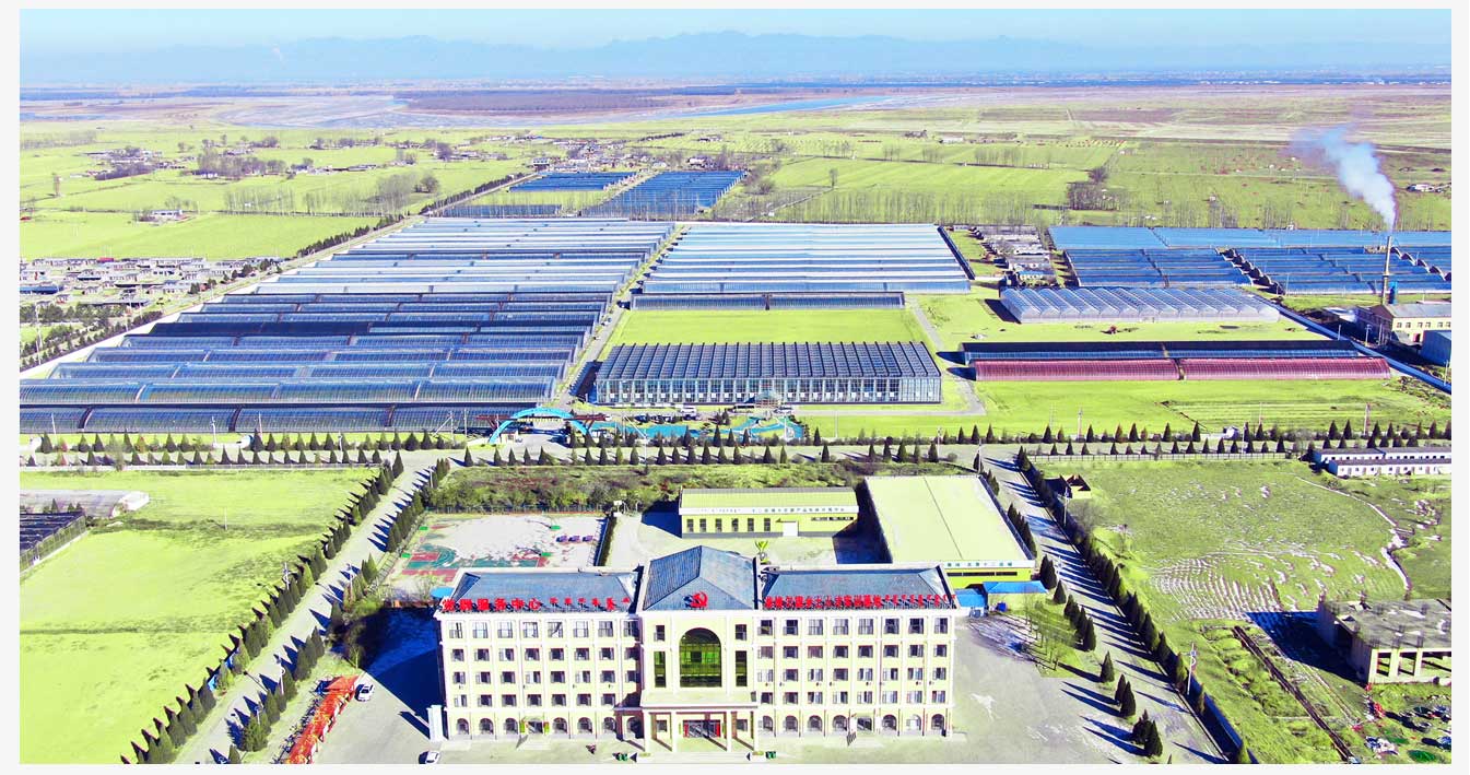 準(zhǔn)格爾旗現(xiàn)代智慧設(shè)施農(nóng)業(yè)產(chǎn)業(yè)園_04.jpg 準(zhǔn)格爾旗現(xiàn)代智慧設(shè)施農(nóng)業(yè)產(chǎn)業(yè)園_04.jpg