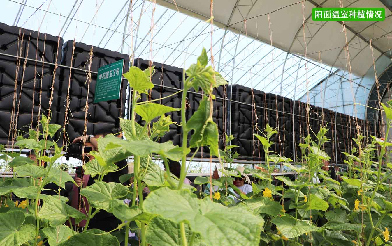 2、四季溫室網(wǎng)頁_12.jpg