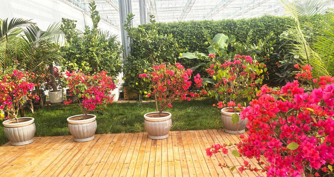 自治區(qū)綠色優(yōu)質果蔬展銷中心psd-恢復的_14.jpg 自治區(qū)綠色優(yōu)質果蔬展銷中心psd-恢復的_14.jpg