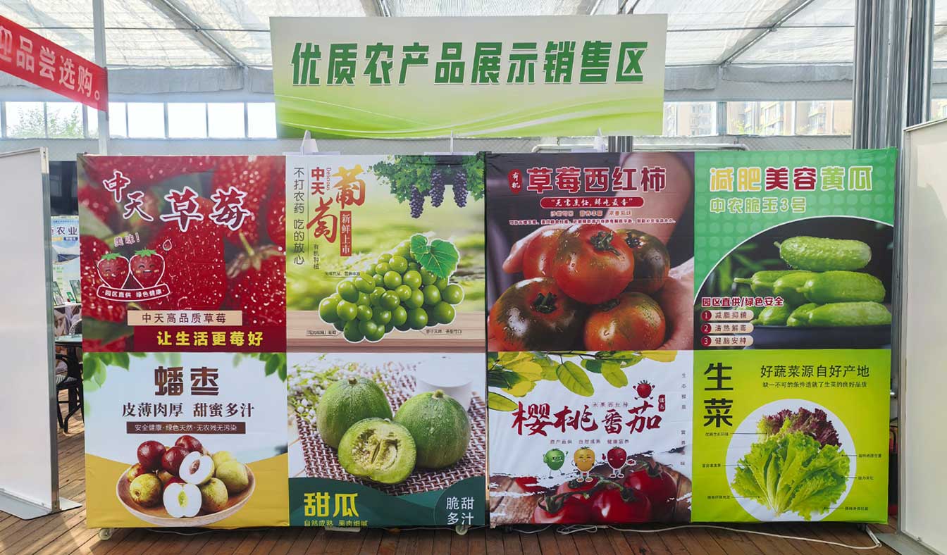 自治區(qū)綠色優(yōu)質果蔬展銷中心psd-恢復的_15.jpg 自治區(qū)綠色優(yōu)質果蔬展銷中心psd-恢復的_15.jpg