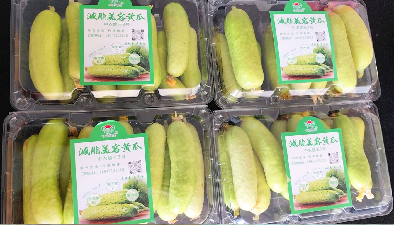 自治區(qū)綠色優(yōu)質果蔬展銷中心psd-恢復的_18.jpg 自治區(qū)綠色優(yōu)質果蔬展銷中心psd-恢復的_18.jpg