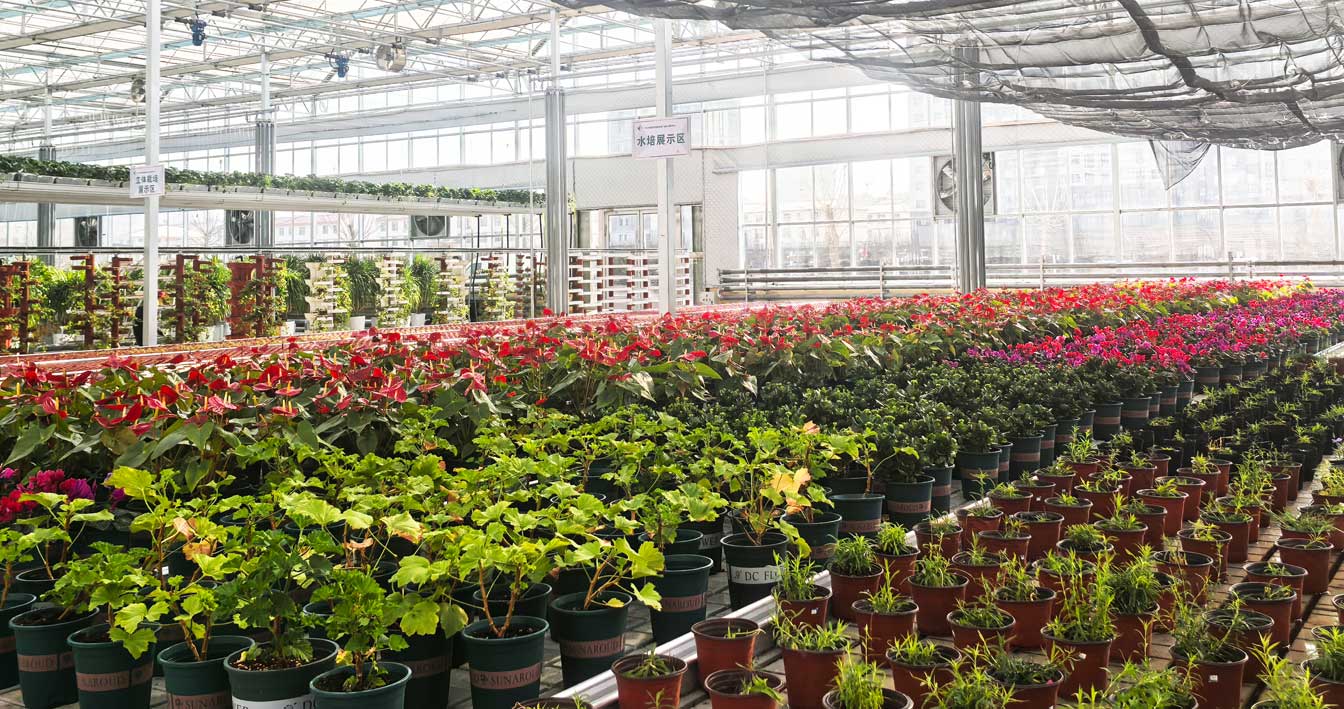 自治區(qū)綠色優(yōu)質果蔬展銷中心psd-恢復的_26.jpg 自治區(qū)綠色優(yōu)質果蔬展銷中心psd-恢復的_26.jpg